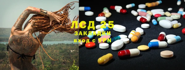 PSILOCYBIN Лагань