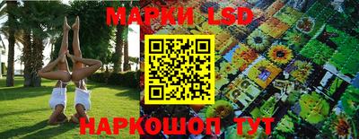 jwh Будённовск