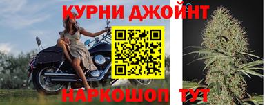 jwh Будённовск