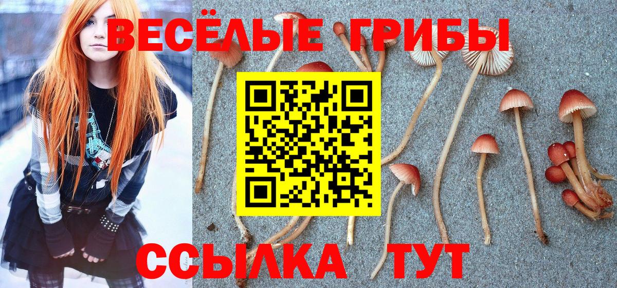 Псилоцибиновые грибы GOLDEN TEACHER Нижний Новгород