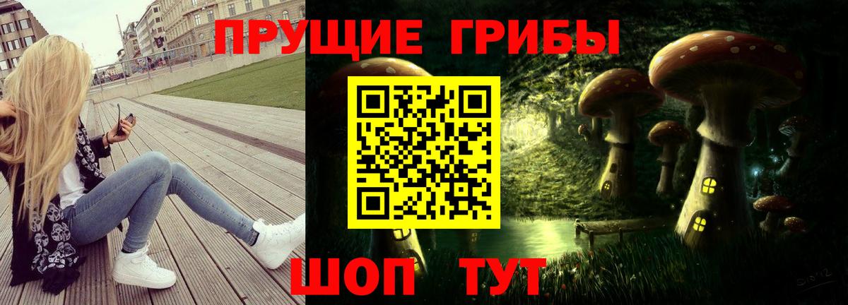 Псилоцибиновые грибы Psilocybine cubensis  Вход с VPN  Нижний Новгород 